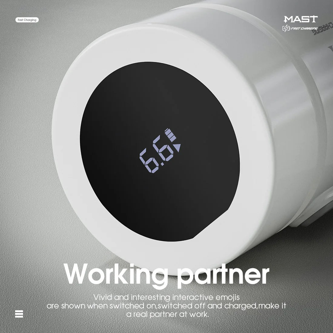 MASTLABS  Battery Fast Charge 1500mAh