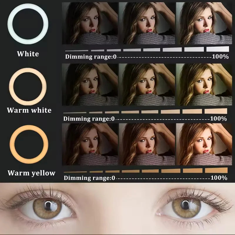 Pro Tattoo Ring Light – Wall Mount Studio Edition